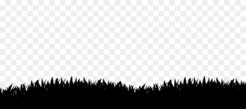 Black Desktop Wallpaper Silhouette White Tree - grass silhouette 
