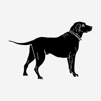 Black dog hand drawn illustration. | Free Photo - rawpixel
