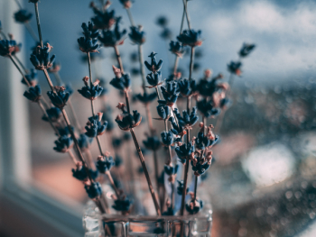 Black Flower Decopr Black Flower Decopr