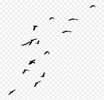 Black Flying Birds By Jassy2012 On Clipart Library - Crows Png