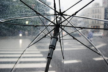 Black Frame Umbrella Black Frame Umbrella