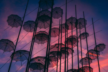 black hanging umbrellas art black hanging umbrellas art