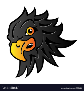 black hawk head black hawk head