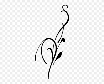 Black Leaf - Vines Black And White Black Leaf - Vines Black And White