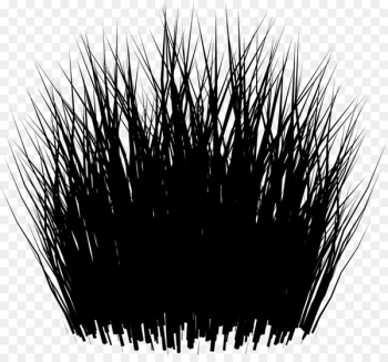 Black M - Black M -