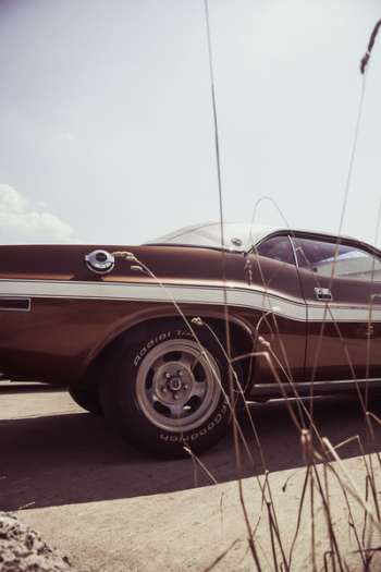 Black Muscle Car Near Brown Grass during Daytime