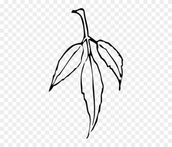 Black, Outline, Leaf, Tree, Flower, White, Plant - Gum Leaf Black And White
