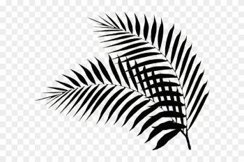 Black Palm Leaf Png