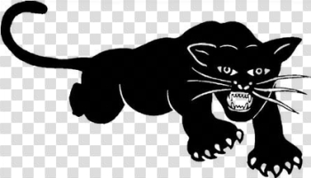 Black Panther Party - Wikipedia Black Panther Party - Wikipedia