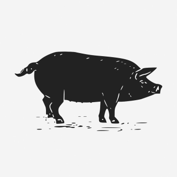 Black pig, farm animal illustration. | Free Photo Illustration - rawpixel Black pig, farm animal illustration. | Free Photo Illustration - rawpixel