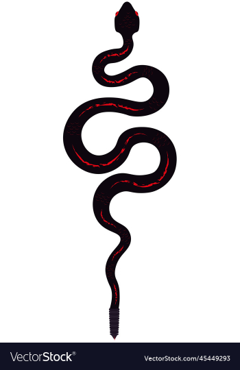 black rattlesnake with red pigments black rattlesnake with red pigments