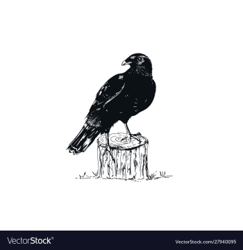 Black raven sketch vector image Black raven sketch vector image