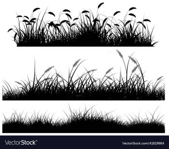 black reeds silhouette set black reeds silhouette set
