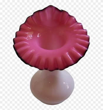 Black Rose Black Rose