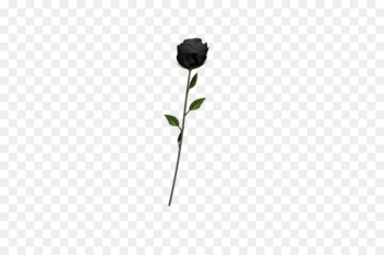 Black rose Art Emoji - undead Black rose Art Emoji - undead