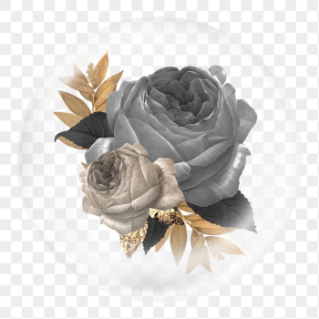 Black rose png sticker, flowers | Free PNG - rawpixel