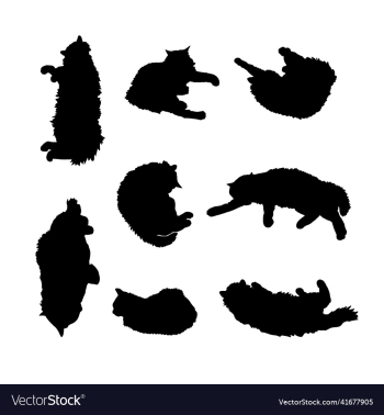 black silhouette of a black fluffy cat set black silhouette of a black fluffy cat set