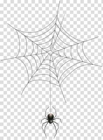 Black spider and spider web , Spider web Halloween , Spider web spider transparent background PNG clipart