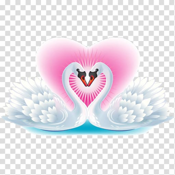 Black swan Bird The Ugly Duckling , Romantic White Swan in pairs transparent background PNG clipart