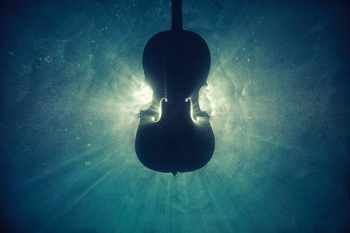 black violin on underwater digital wallpaper black violin on underwater digital wallpaper