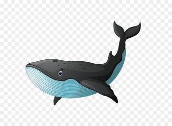 Black whale Black whale