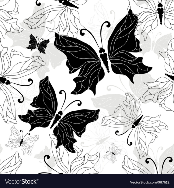Black white butterfly vector image Black white butterfly vector image