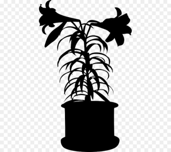 Black White M, Character, Flower, Blackandwhite, Leaf PNG Black White M, Character, Flower, Blackandwhite, Leaf PNG