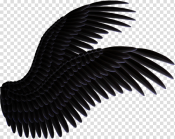 Black Wings (PNG) | Official PSDs Black Wings (PNG) | Official PSDs