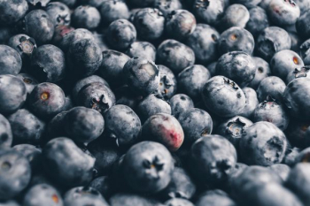 blackberries bundle blackberries bundle