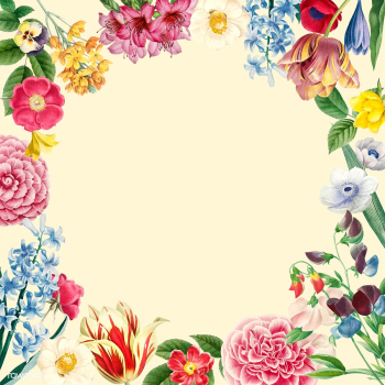Blank floral copy space | Free stock vector - 564203 Blank floral copy space | Free stock vector - 564203