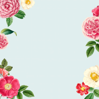 Blank floral copy space | Free stock vector - 564233 Blank floral copy space | Free stock vector - 564233
