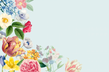 Blank floral copy space | Free stock vector - 564250 Blank floral copy space | Free stock vector - 564250