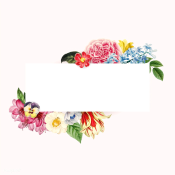 Blank floral copy space | Free stock vector - 564286 Blank floral copy space | Free stock vector - 564286