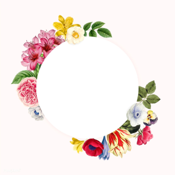 Blank floral copy space | Free stock vector - 564328 Blank floral copy space | Free stock vector - 564328