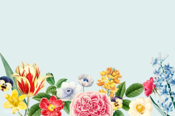 Blank floral copy space | Free stock vector - 564332 Blank floral copy space | Free stock vector - 564332