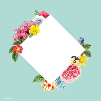 Blank floral copy space | Free stock vector - 564338 Blank floral copy space | Free stock vector - 564338