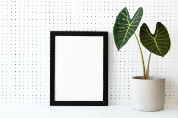 Blank frame on plant shelf home decor ideas | Free stock photo | High Resolution image