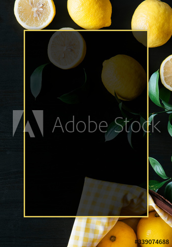 Blank lemon patterned frame Blank lemon patterned frame