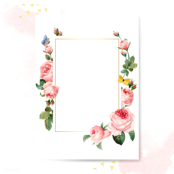 Blank rectangle pink roses frame card on pink.. | Free stock vector - 543336 Blank rectangle pink roses frame card on pink.. | Free stock vector - 543336