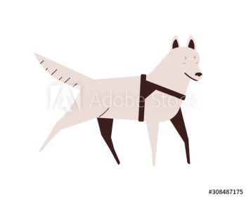 Blind dog flat vector illustration Blind dog flat vector illustration