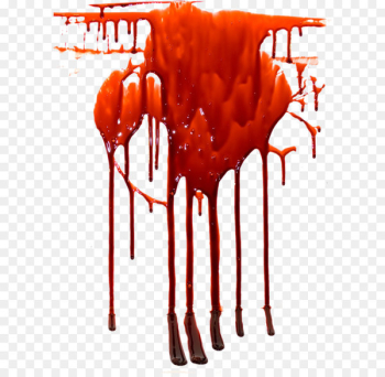 Blood donation Cord blood Red blood cell - Blood PNG image Blood donation Cord blood Red blood cell - Blood PNG image