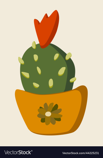 blooming cactus in a pot blooming cactus in a pot