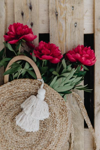 Blooming red peonies Blooming red peonies