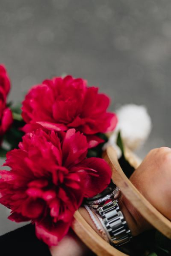 Blooming red peonies Blooming red peonies