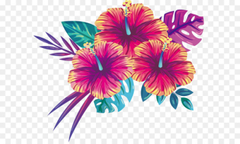 Blooming summer flowers 