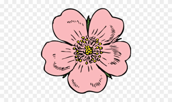 Blossom 20clipart - Blossom Flower Clip Art Blossom 20clipart - Blossom Flower Clip Art