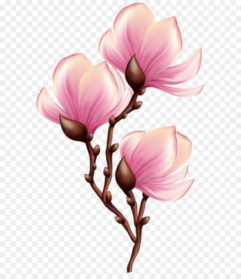 Blossom Clip art - Beautiful Blooming Branch Transparent PNG Clip Art Image 