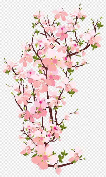 Blossom Flower Branch, flower, flower Arranging, leaf, tree Branch png