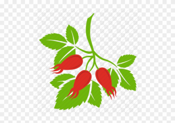 Blossom, Flower, Red Rose, Rose, Rosebud Icon - Rose Blossom, Flower, Red Rose, Rose, Rosebud Icon - Rose