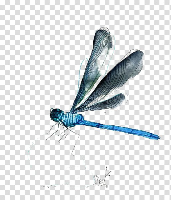 Blue and gray dragonfly illustration, Watercolor painting, dragonfly transparent background PNG clipart